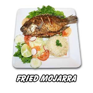 Mojarra-Frita-cell